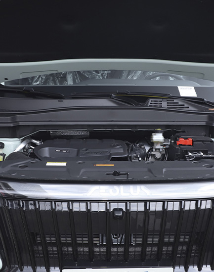 DongFeng Forthing Friday Foto