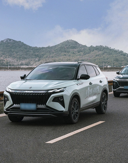 DongFeng Forthing Friday Foto