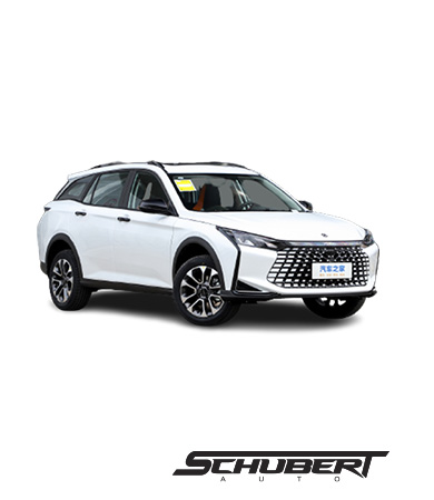 Shine Dongfeng Carro