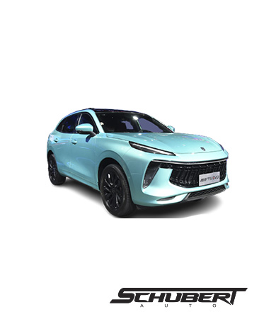 T5 Exclusive Dongfeng Carro